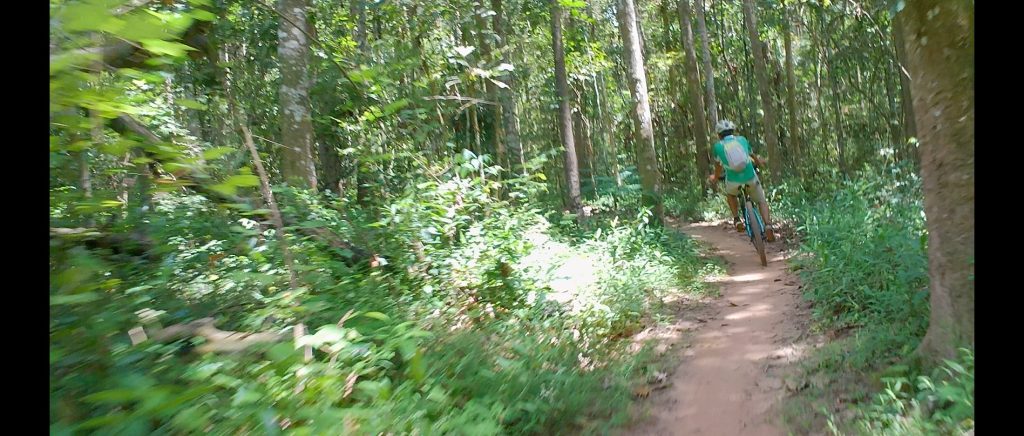 Biker Riding a trail in Woods