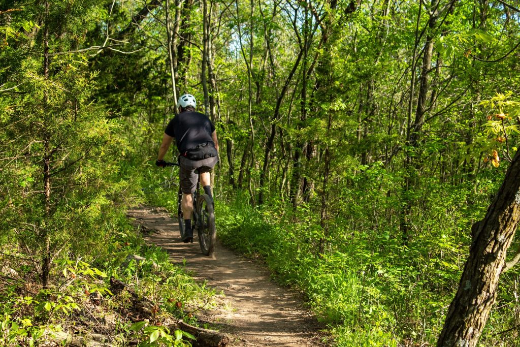 Mountain biker riding on a forest trail